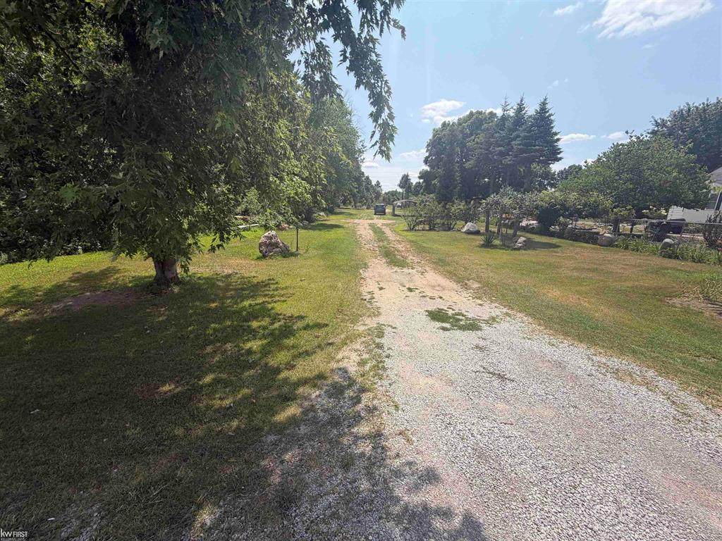 0 Mt Morris Road - Photo 1