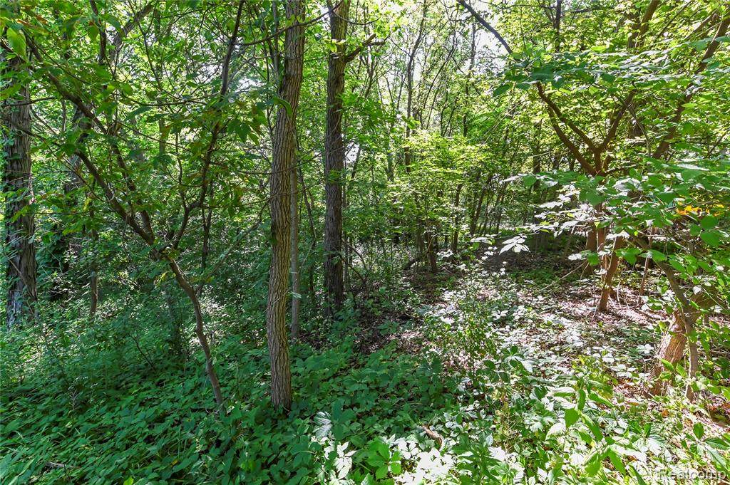 https://bt-photos.global.ssl.fastly.net/michigan/orig_boomver_1_663914265-2.jpg