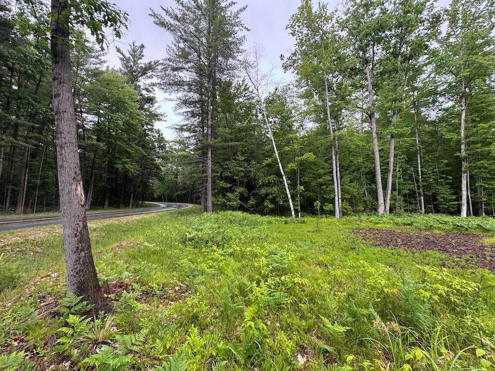  Pinecrest Drive - Photo 1