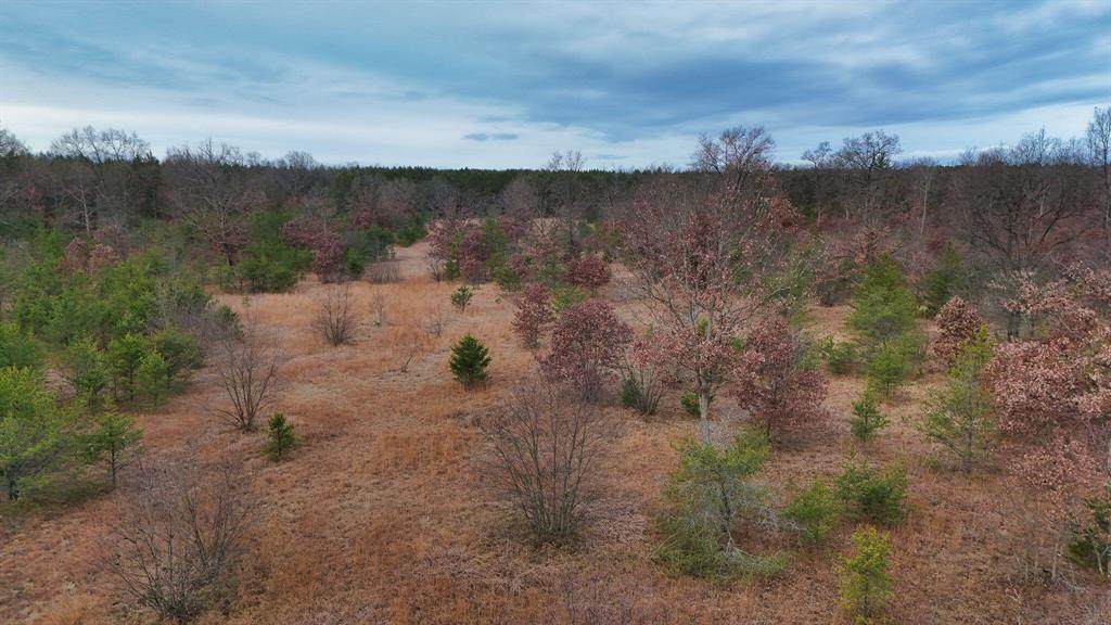 3728 Custer Road - Photo 1