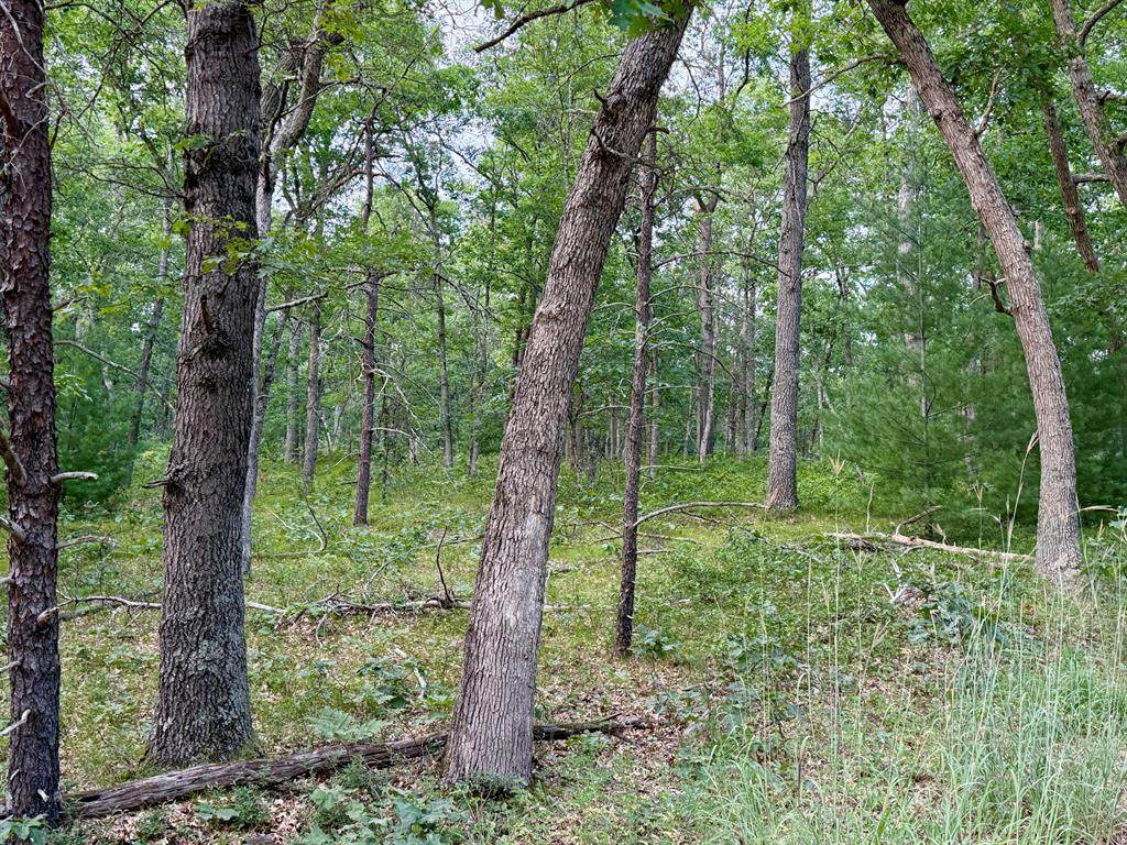 2a Steinberg Road - Photo 1
