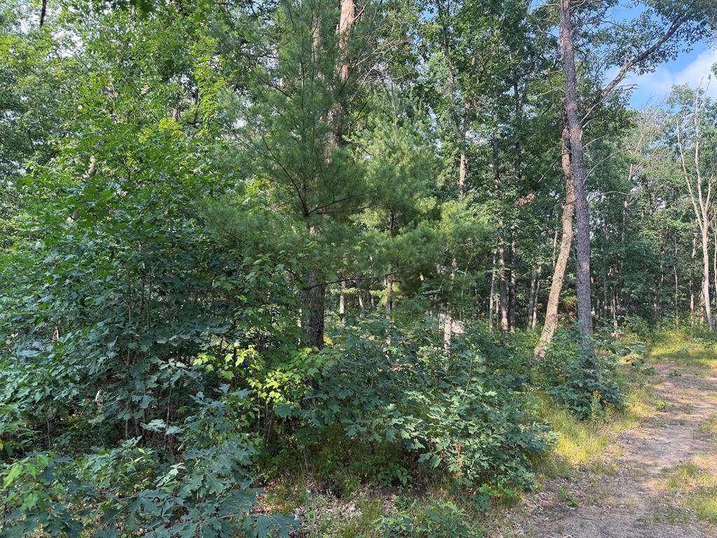 https://bt-photos.global.ssl.fastly.net/michigan/orig_boomver_1_663973624-2.jpg