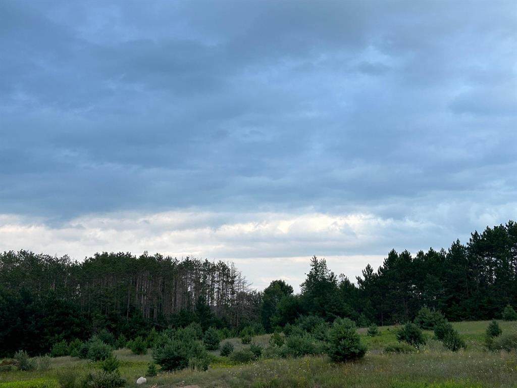  Markenwood Lane - Photo 1