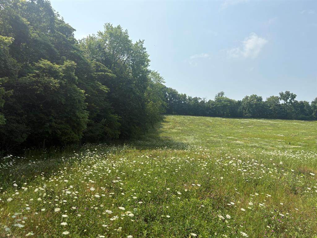 https://bt-photos.global.ssl.fastly.net/michigan/orig_boomver_1_664242014-2.jpg