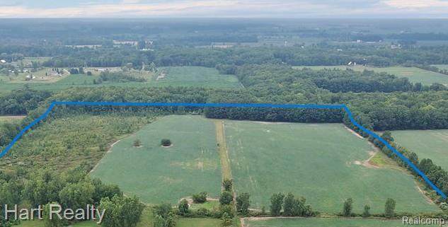 0000 Imlay City Rd - Photo 1