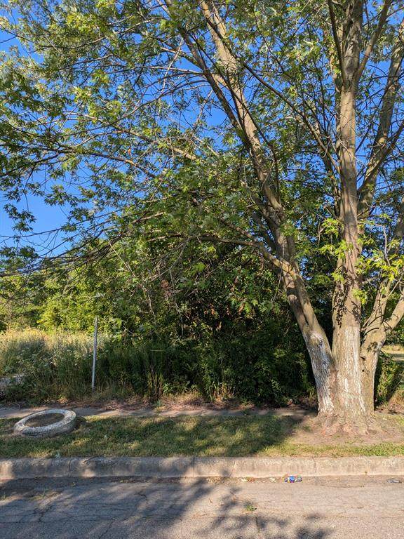 4159 Roosevelt Street - Photo 1