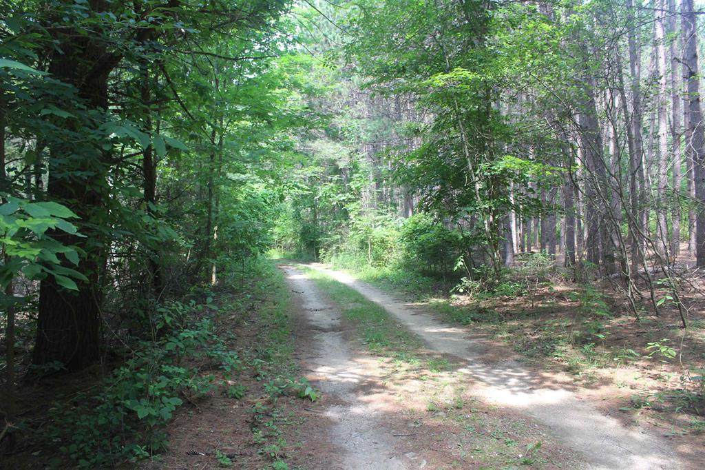 0 Whitefish Trail - Photo 1