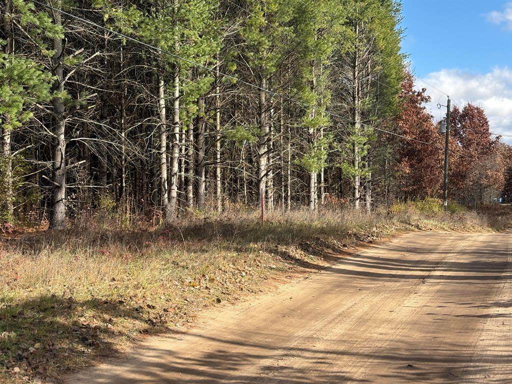 0 Tamarack Road - Photo 1
