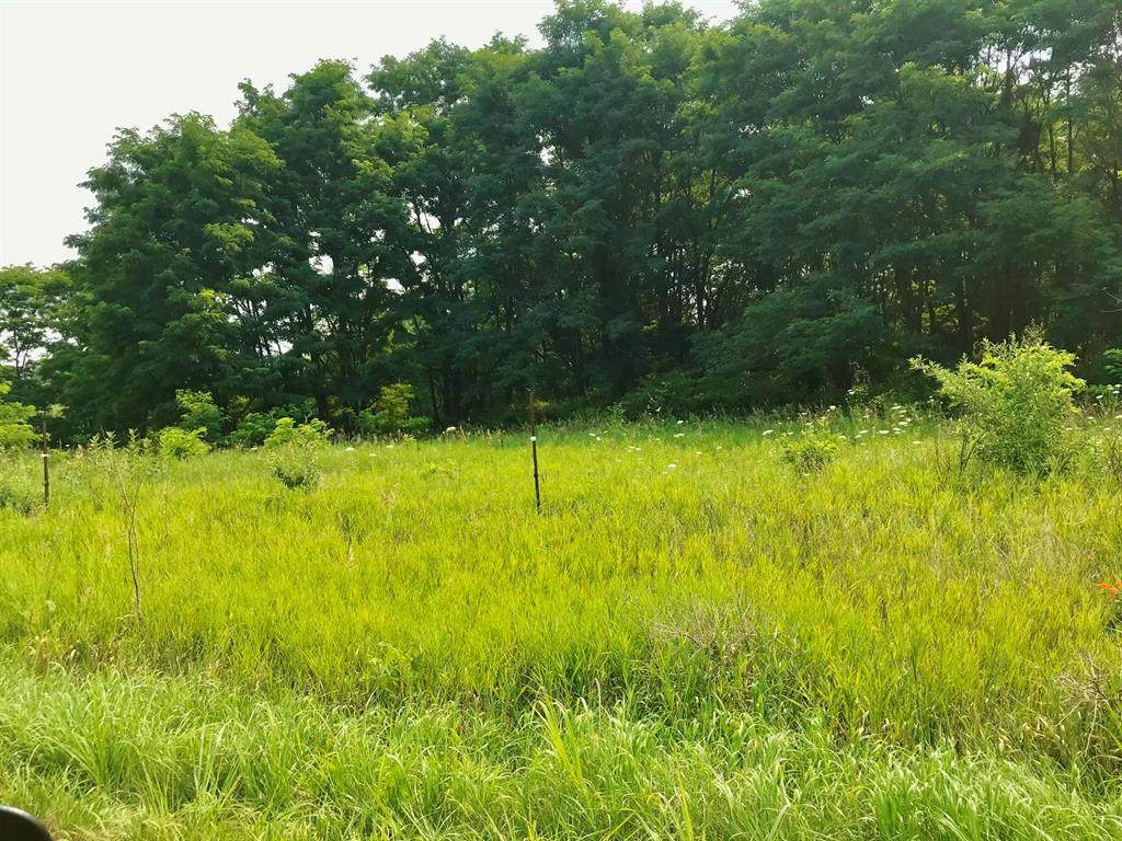  Buckhorn Road - Photo 1