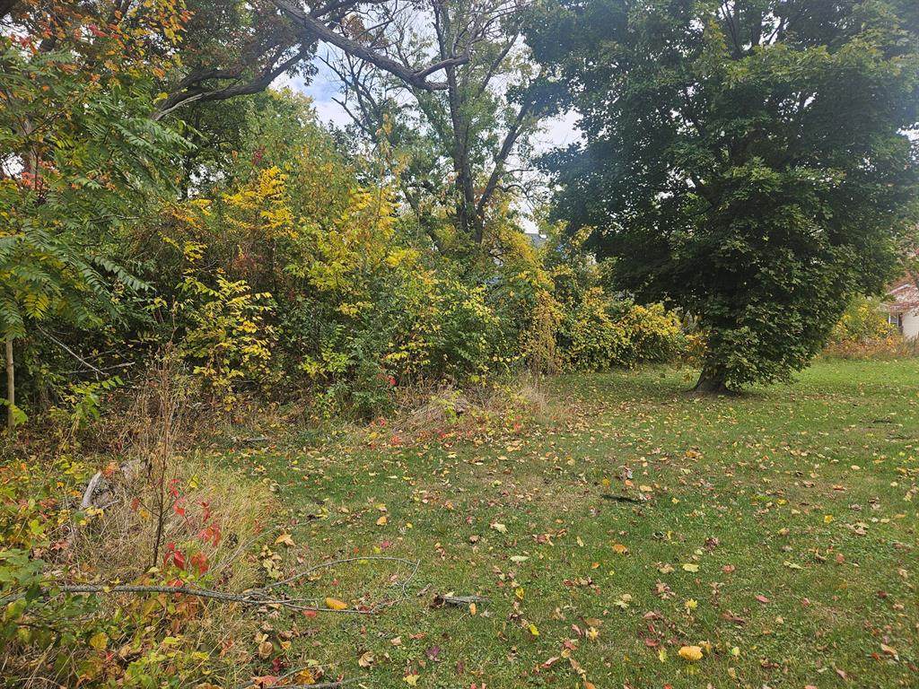 https://bt-photos.global.ssl.fastly.net/michigan/orig_boomver_1_666346545-2.jpg