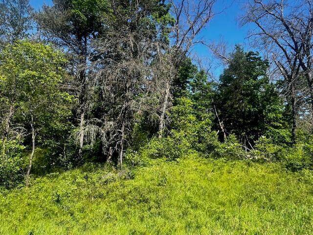Parcel 1 M-37 - Photo 1