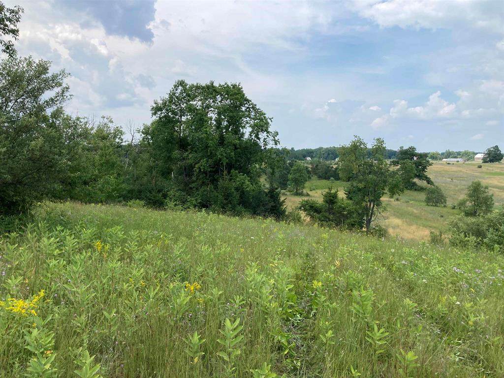 V/L-20A-M/L Mayhew Road - Photo 1