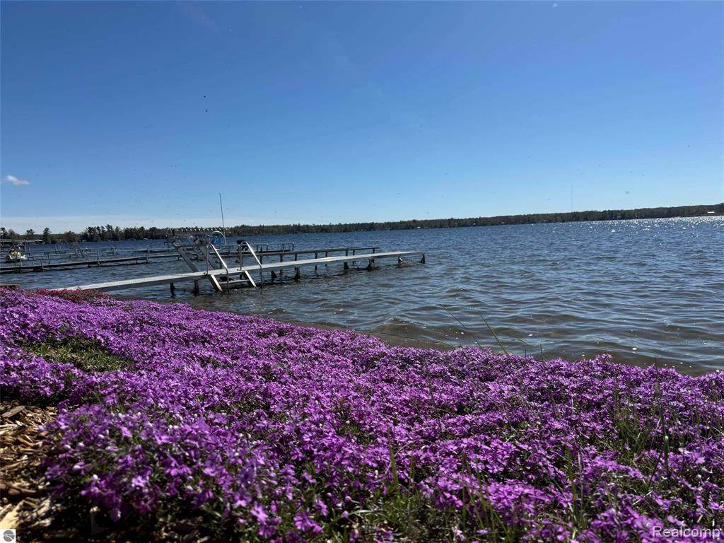 https://bt-photos.global.ssl.fastly.net/michigan/orig_boomver_1_668621742-2.jpg