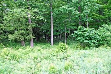 LOT 10 Stagecoach Trail - Photo 1