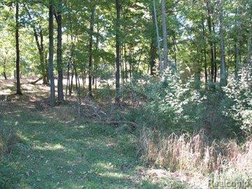 9739 Lost Channel Dr - Photo 1