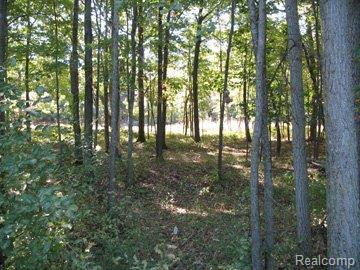 9749 Lost Channel Dr - Photo 1