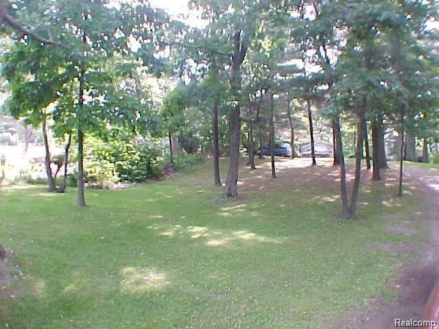 VACANT Timberlane Street - Photo 1