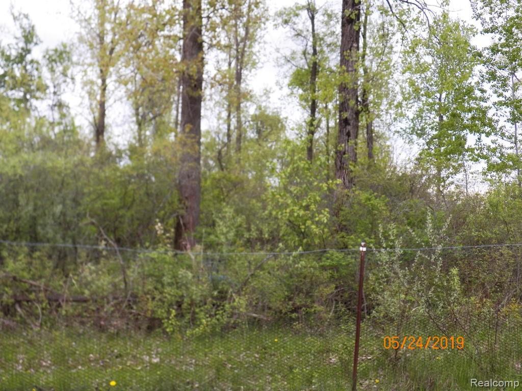 00 Donald Road - Photo 1