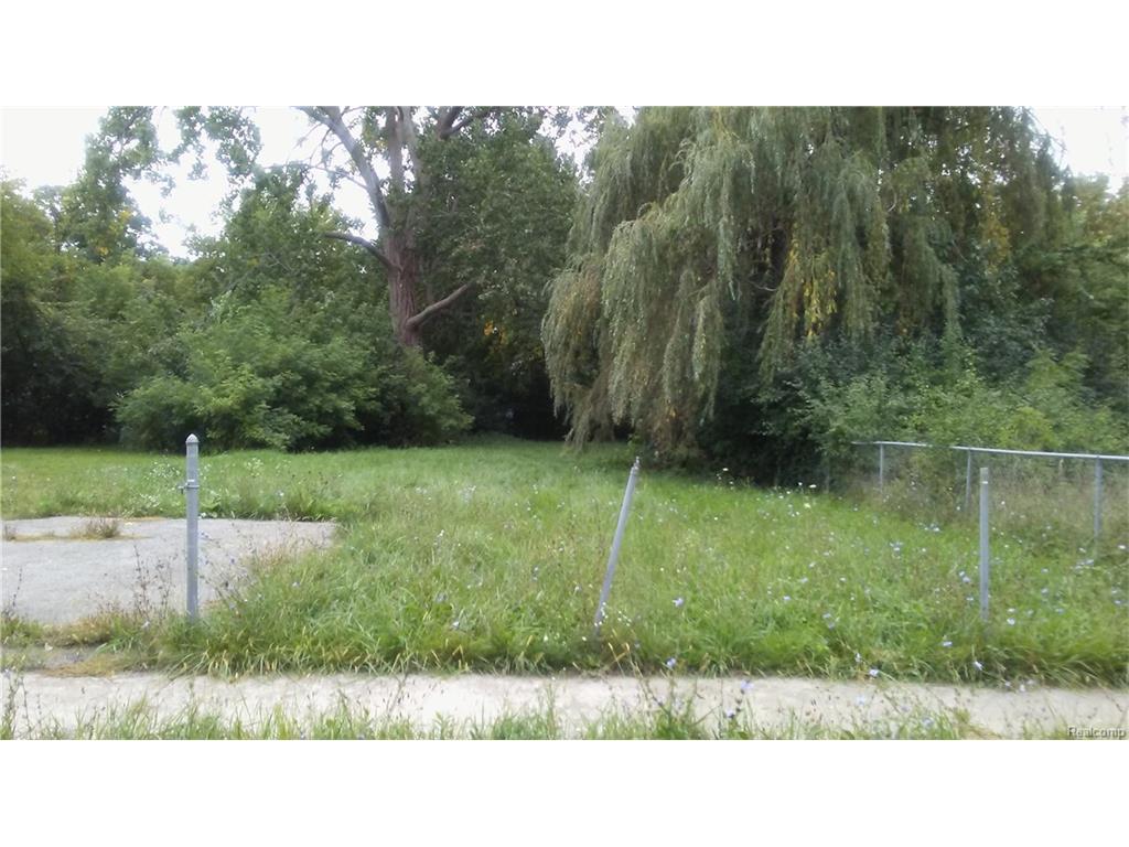 0 Midway Avenue - Photo 1