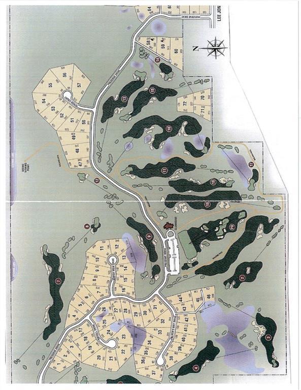 LOT 62 Preserve Drive - Photo 1