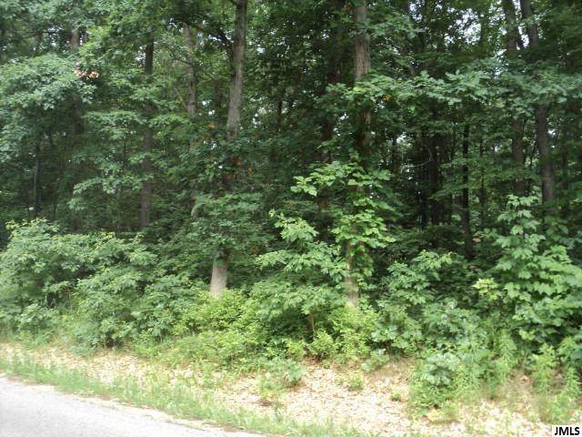 #12 Portage Rd - Photo 1