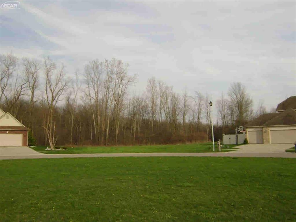 0 Devin Drive - Photo 1
