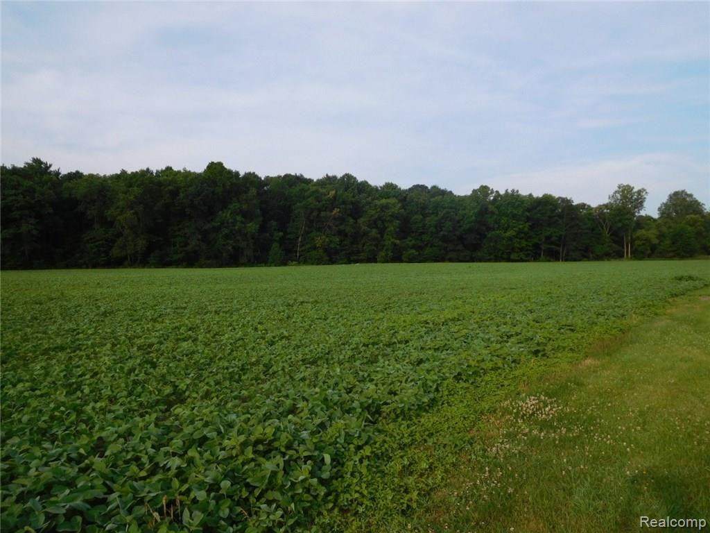 00 25 MILE Road - Photo 1