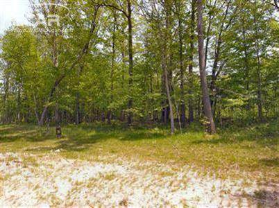 8201 Pine Hollow Trail - Photo 1