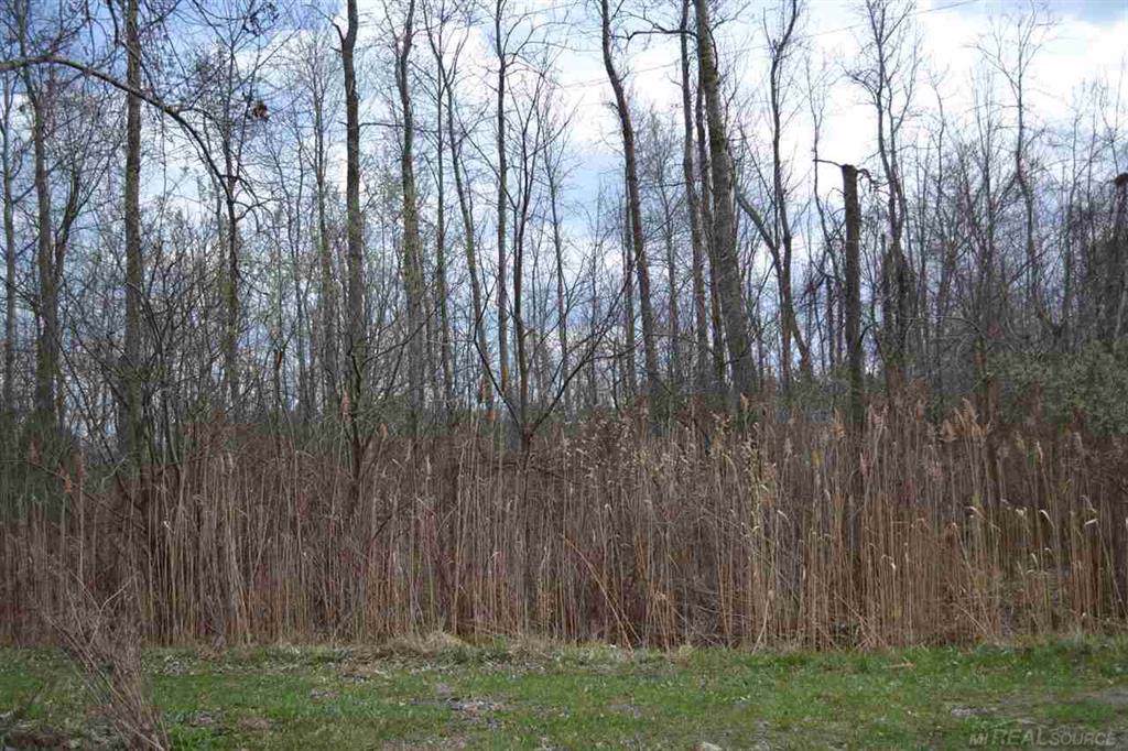TBD Hickory - Photo 1