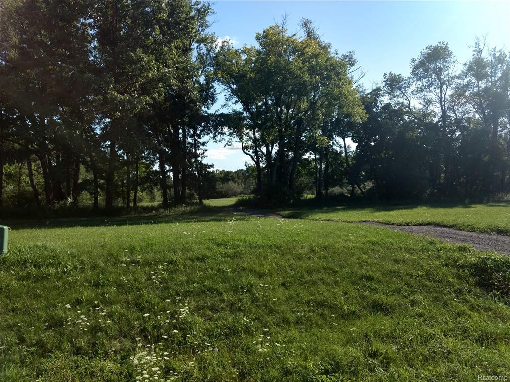 12715 Meadow View Circle - Photo 1