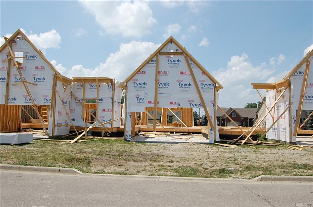 23882 White Pine Street - Photo 1