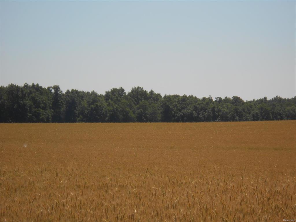 0 Saline Waterworks Road - Photo 1