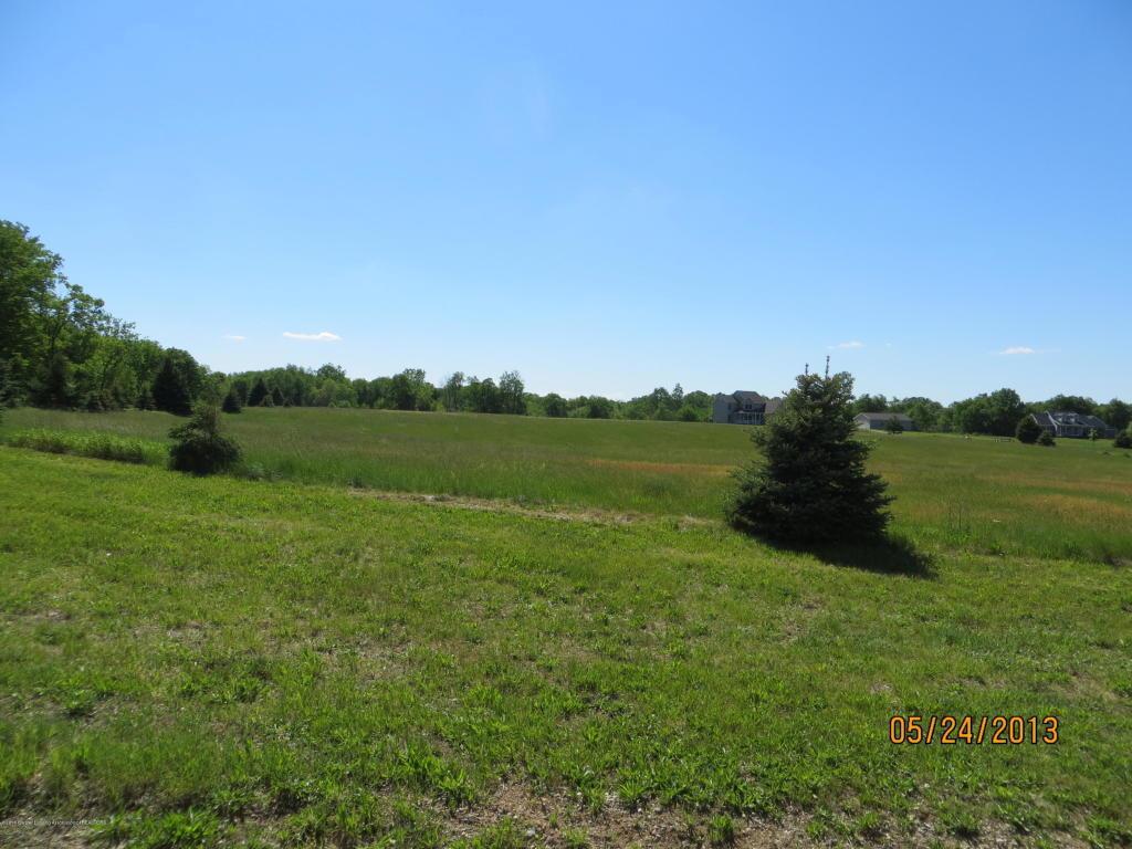 0 Scipio Highway - Par 17 - Photo 1