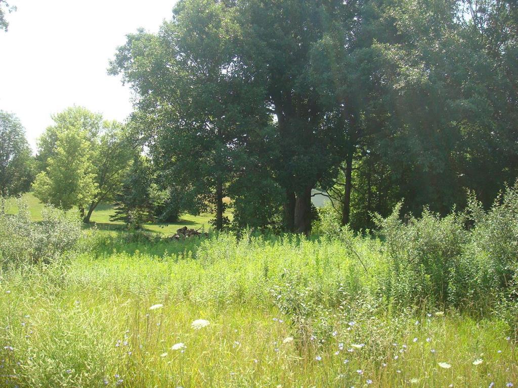 14189 View Dr - Photo 1