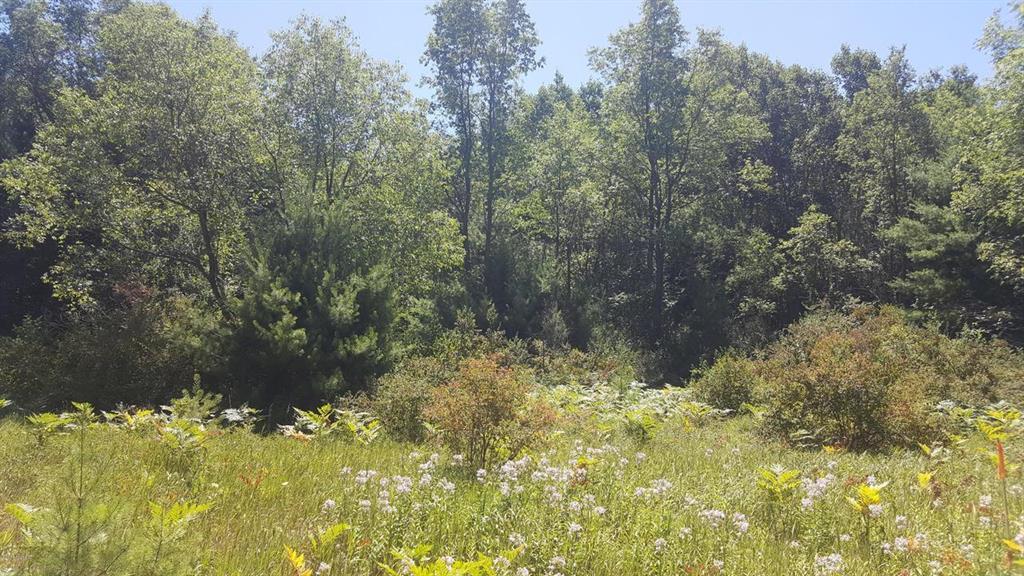 9113 13 MILE RD. - Photo 1