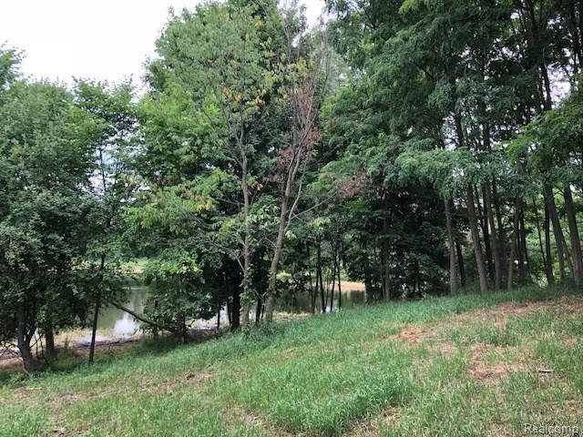 000 Hillendale - Photo 1