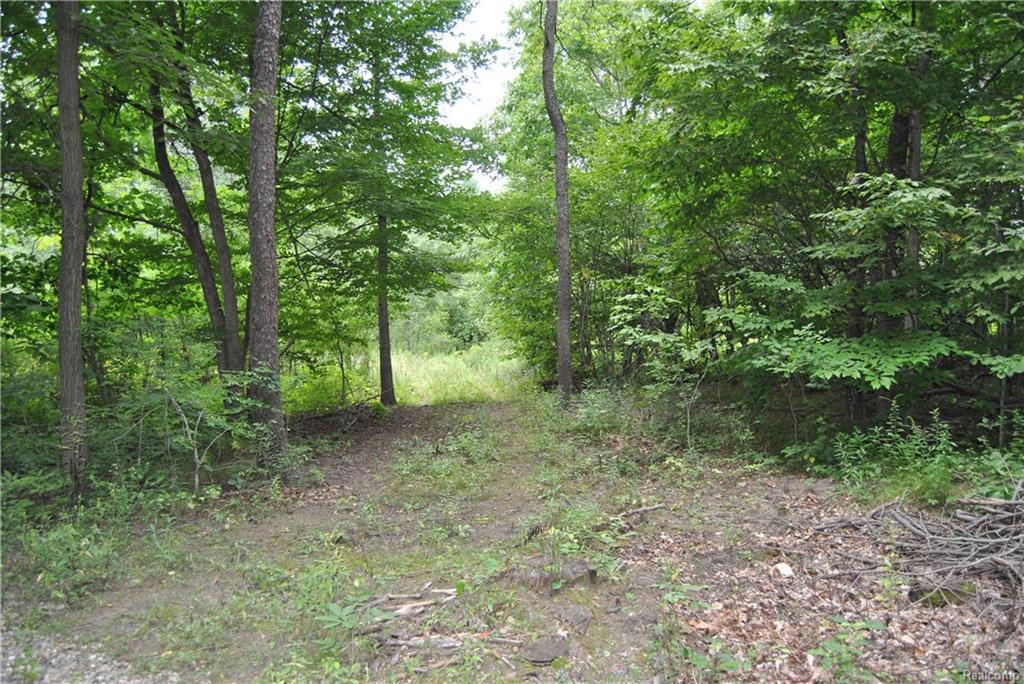 0 Lake George Road - Photo 1