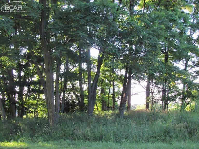0 White Lake Road - Photo 1