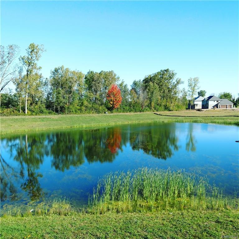 11901 Forest Brook Drive - Photo 1