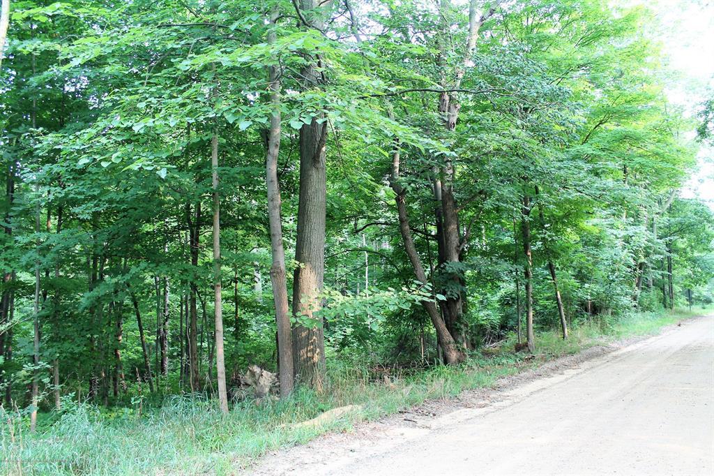 0 Gibbs Road - Photo 1