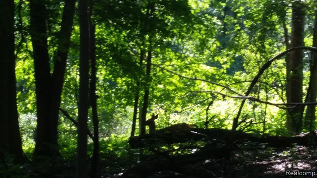 0 Pleasant Valley Road - Photo 1