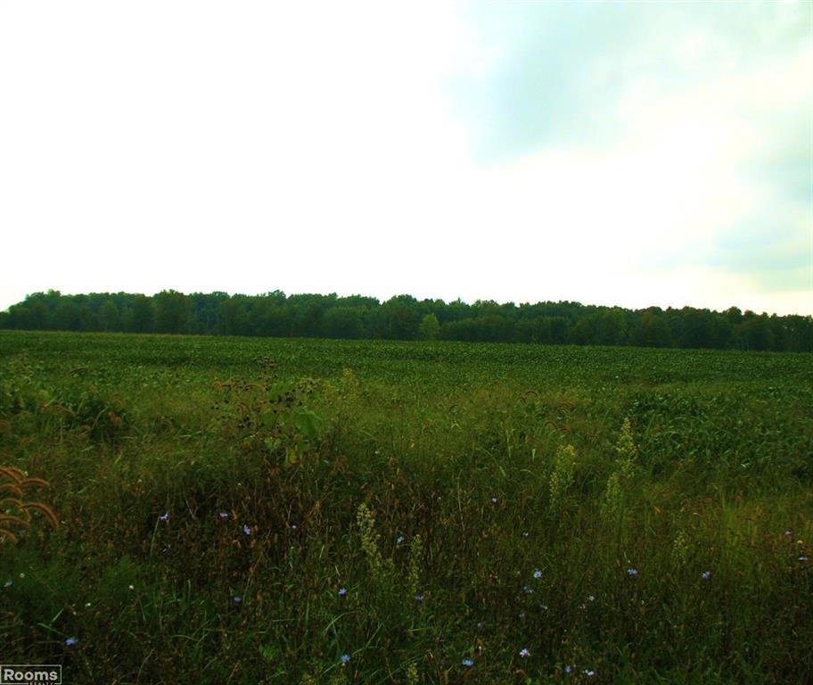 0 34 MILE LOT 1 - Photo 1