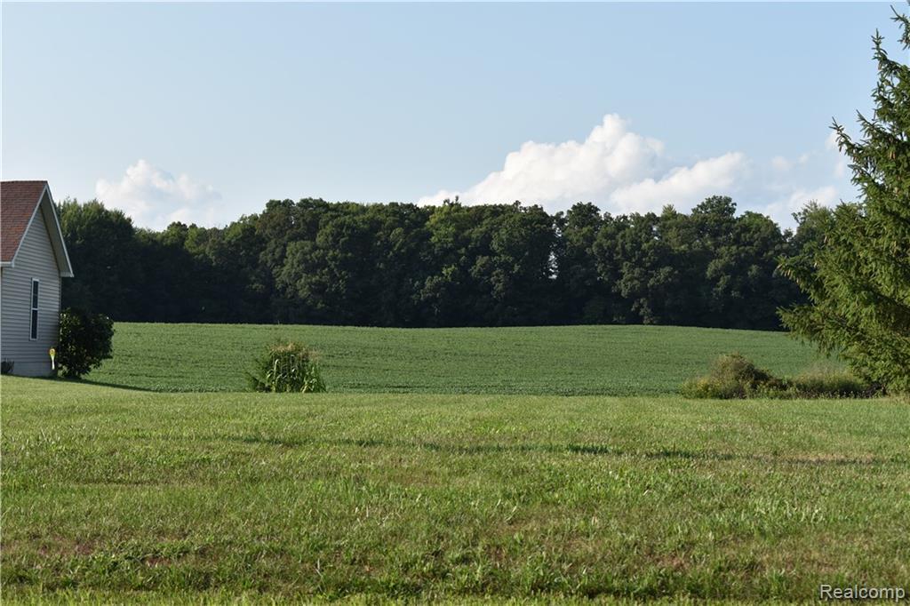V/L Coulter Road - Photo 1
