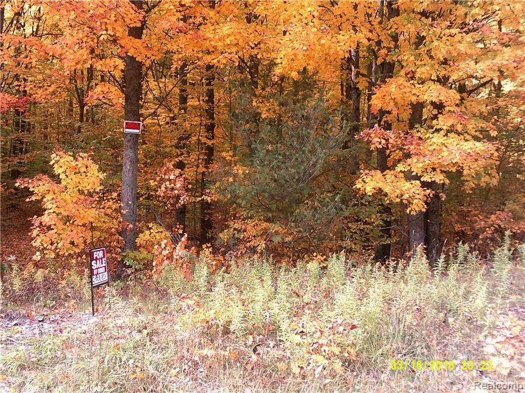 00 Coyote Run - Photo 1