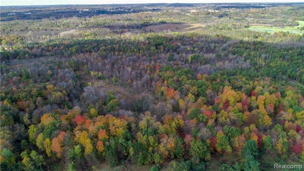 Vacant Land Oakwood - Photo 1