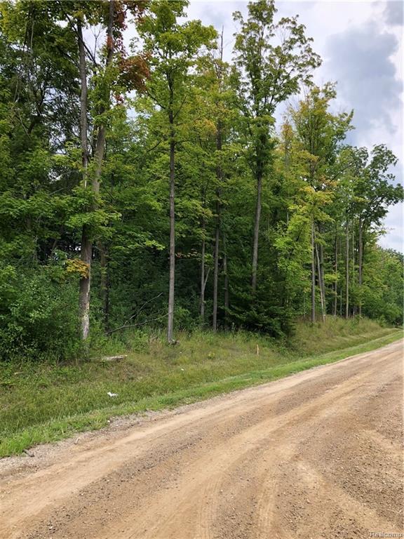 00 Bartlett (Parcel E/11-176-017) Road - Photo 1