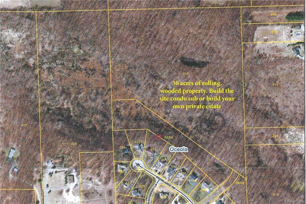 307 acres Moorland's View - Photo 1