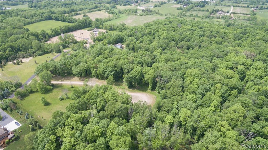 9525 Hickory Ridge Road - Photo 1