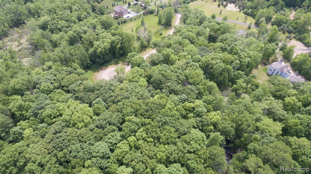 9818 Hickory Ridge Road - Photo 1