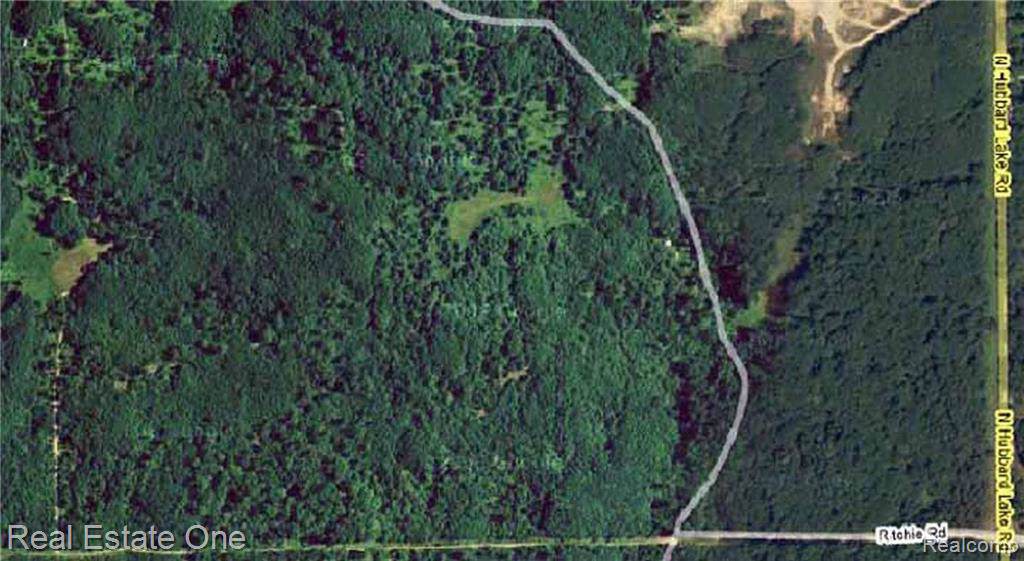 V/L Ritchie & Hubbard Lake - Photo 1